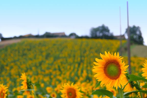 Umbria Tailor-Made Multi-Day Private Tour