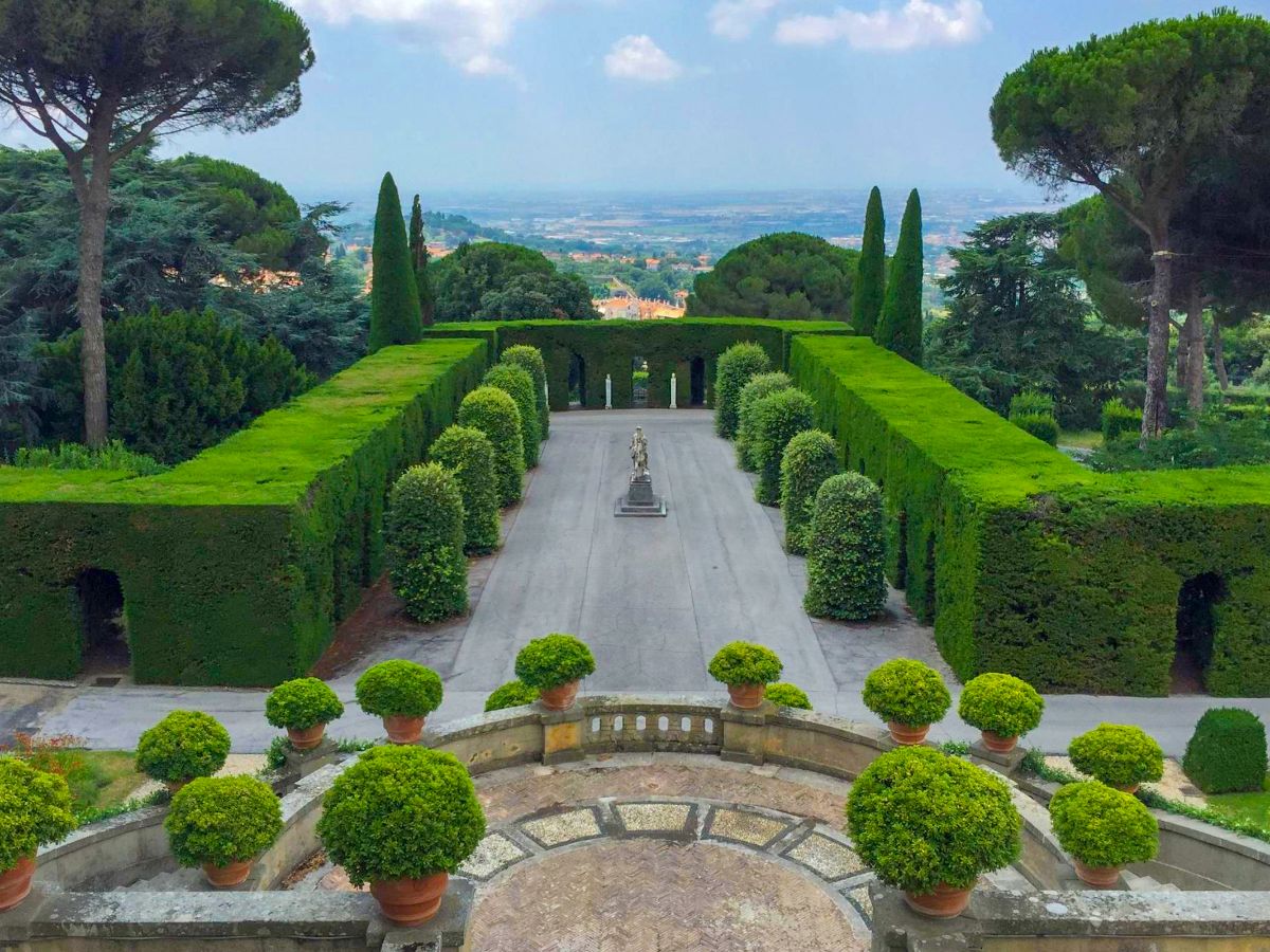 galleria immagine 4