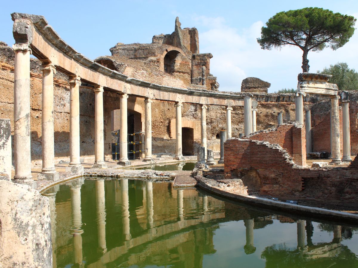 galleria immagine 8