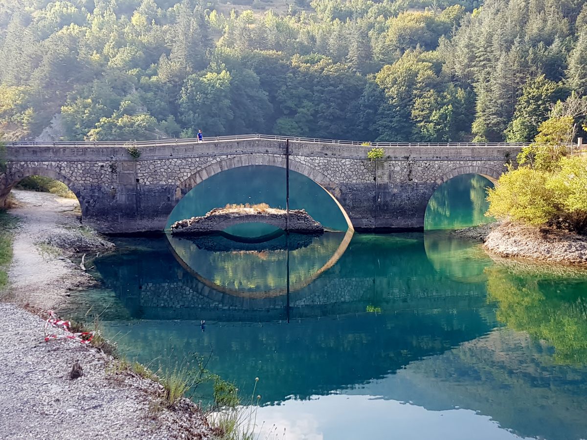 galleria immagine 4