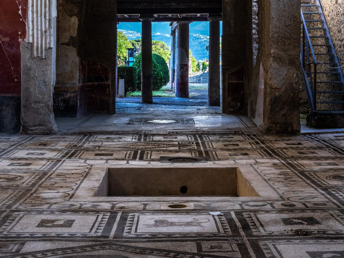 galleria immagine 4