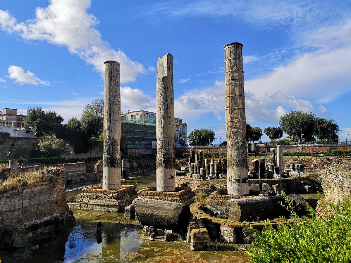 galleria immagine 5