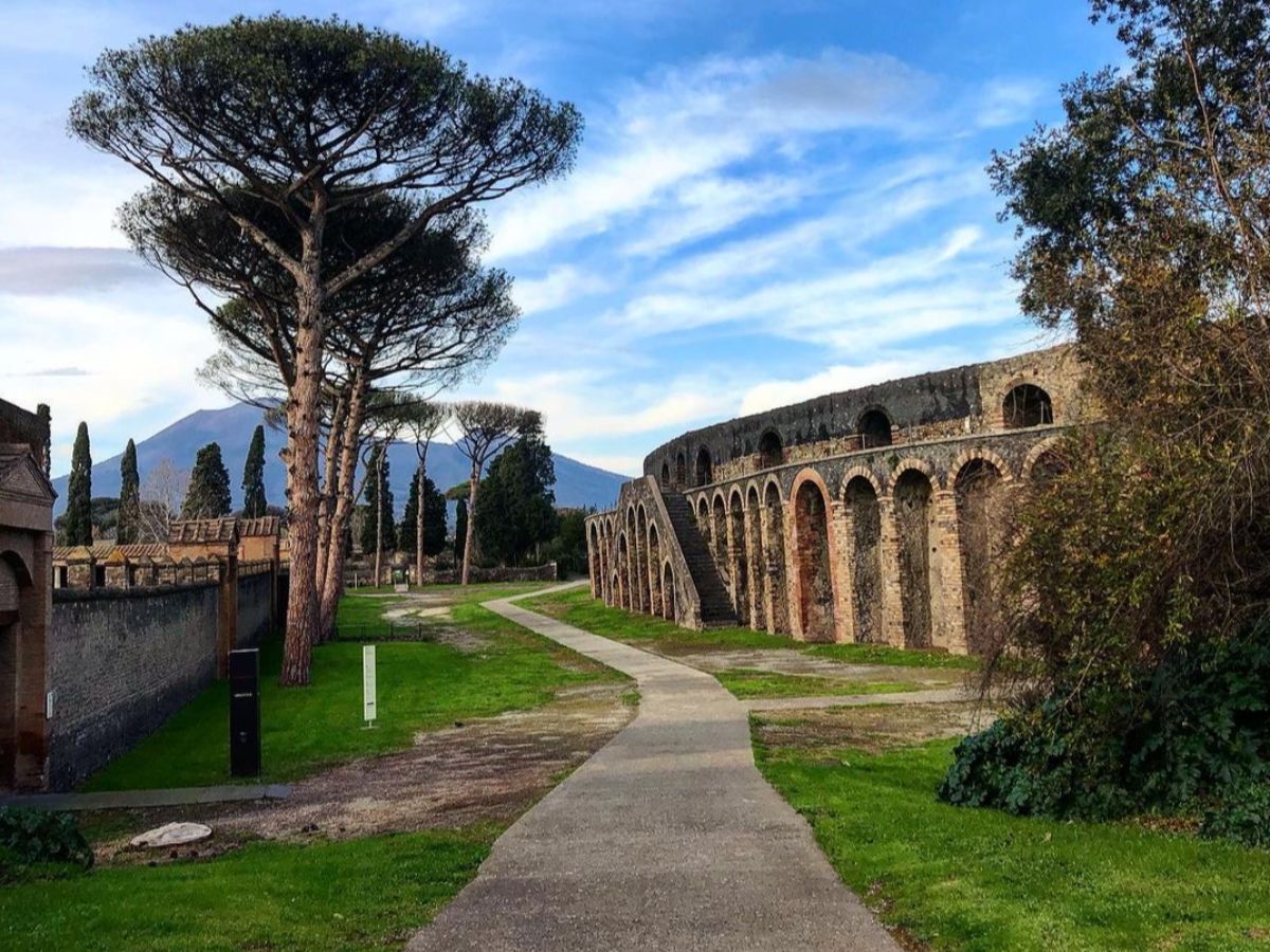 galleria immagine 4