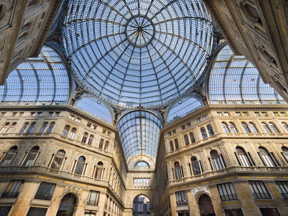 galleria immagine 5